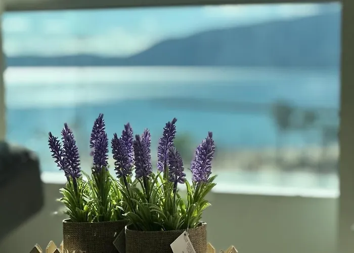 Apartment Beachfront