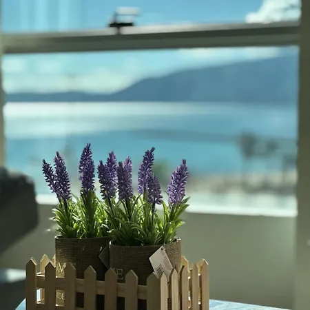 Apartment Beachfront